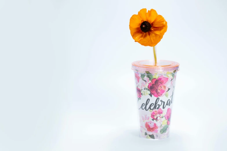 a cup with a flower sticking out of it, inspired by Peter Alexander Hay, unsplash, on clear background, made out of plastic, lighthearted celebration, poppy