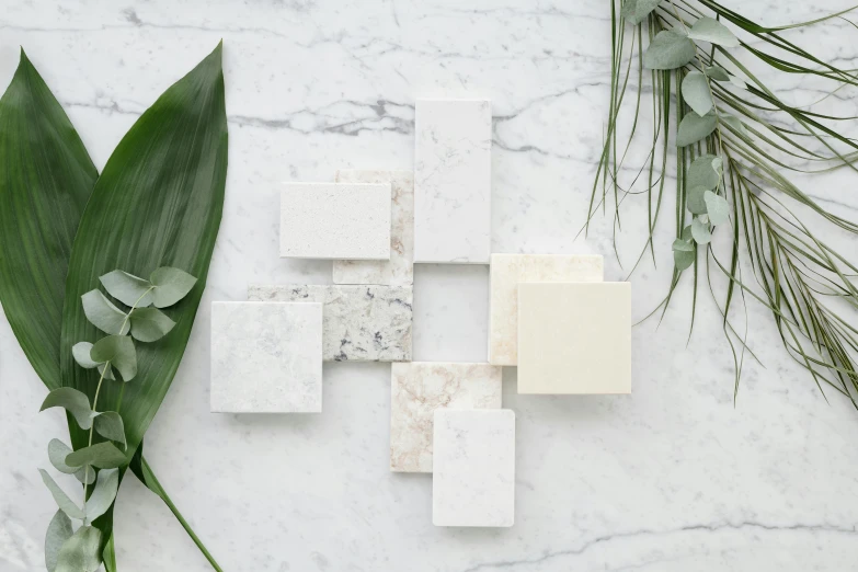 a bunch of soap bars sitting on top of a marble counter, inspired by Eden Box, unsplash, white panels, architectural and tom leaves, plant specimens, made in tones of white and grey