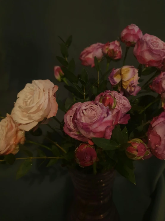 a vase filled with pink and white flowers, inspired by Elsa Bleda, pexels contest winner, roses in cinematic light, moody aesthetic, ((still life))