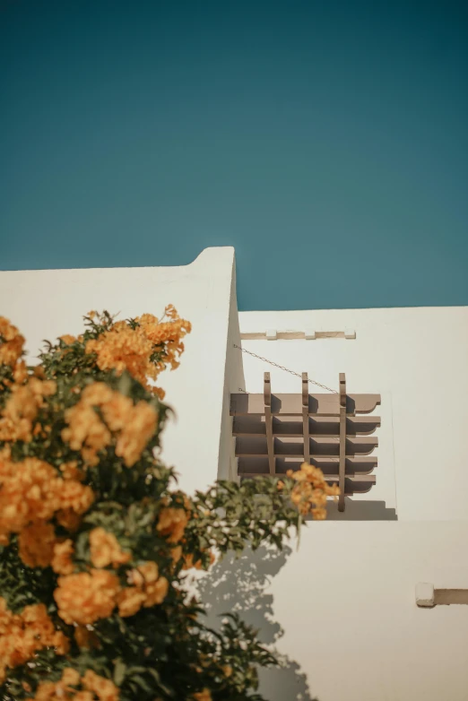 a white building with yellow flowers in front of it, a colorized photo, unsplash contest winner, minimalism, vacation photo, ochre, afternoon lights, medium format color photography