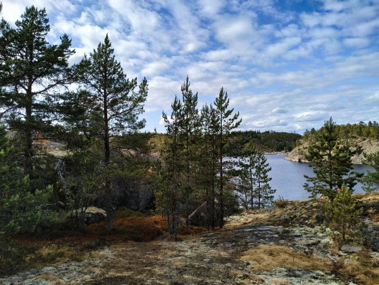 a large body of water surrounded by trees, a picture, by Eero Järnefelt, unsplash, les nabis, rock plateau, ligjt trail, three views, hunting