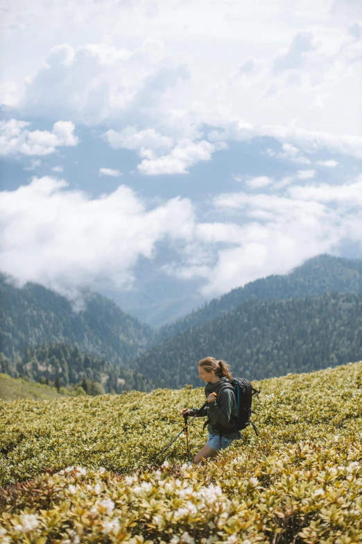 a woman hiking in the mountains with a backpack, by Daren Bader, unsplash contest winner, renaissance, bushes, mount olympus, black forest, “puffy cloudscape