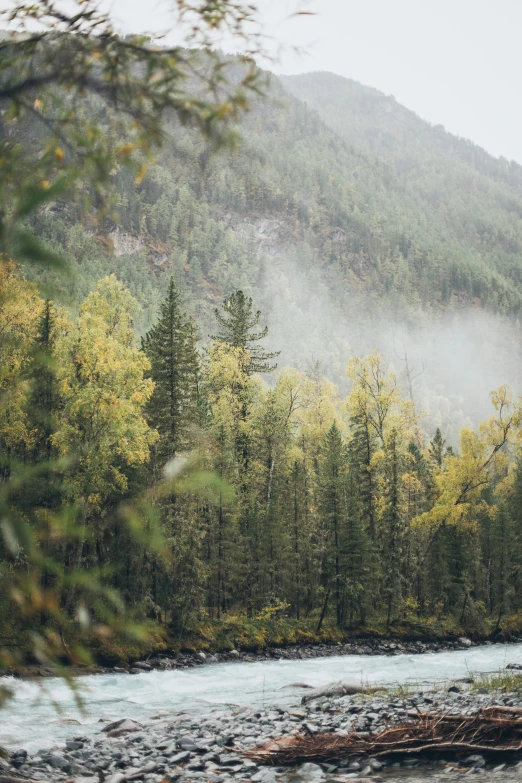 a river running through a lush green forest, by Harry Haenigsen, trending on unsplash, autumn mountains, rain and haze, wide film still, in an arctic forest