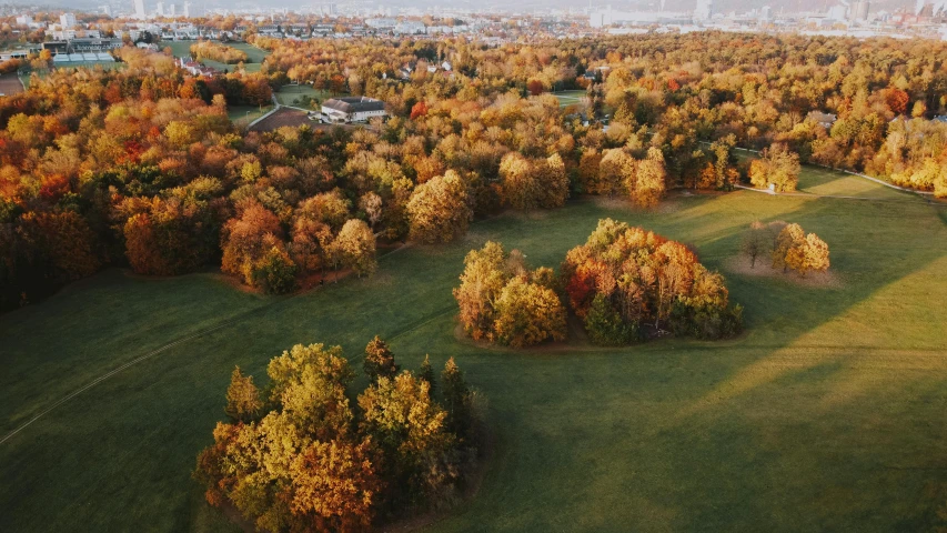 an aerial view of a city in the distance, unsplash contest winner, land art, grassy autumn park outdoor, montreal, warm glow, trees in foreground