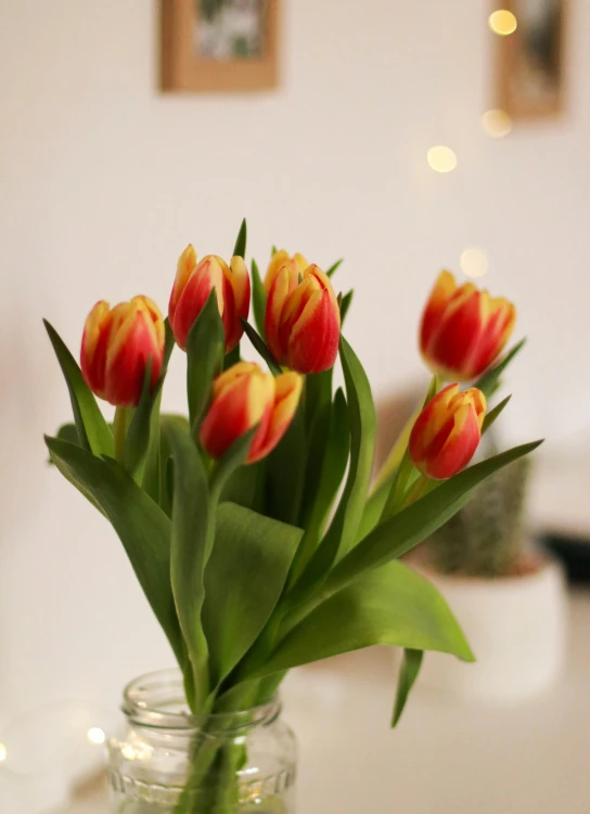 a vase filled with red and yellow flowers, tulip, light red and orange mood, product display photograph, indoor shot