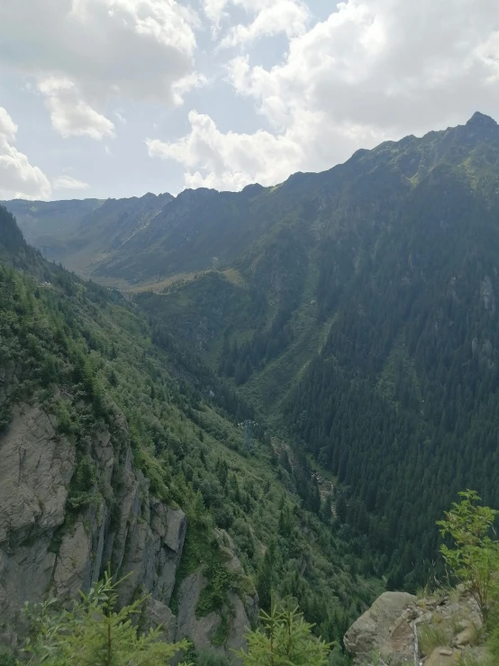 a view of the mountains from the top of a mountain, by Muggur, spruce trees on the sides, inside a gorge, very very very epic, extremely clear and coherent