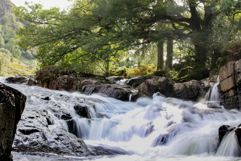 a stream running through a lush green forest, an album cover, by Bedwyr Williams, unsplash, hurufiyya, falling water, panoramic, white water rapids, phone photo