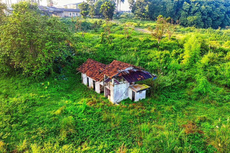 an old house sitting in the middle of a lush green field, slum, background image, high - angle view, abandoned vibes