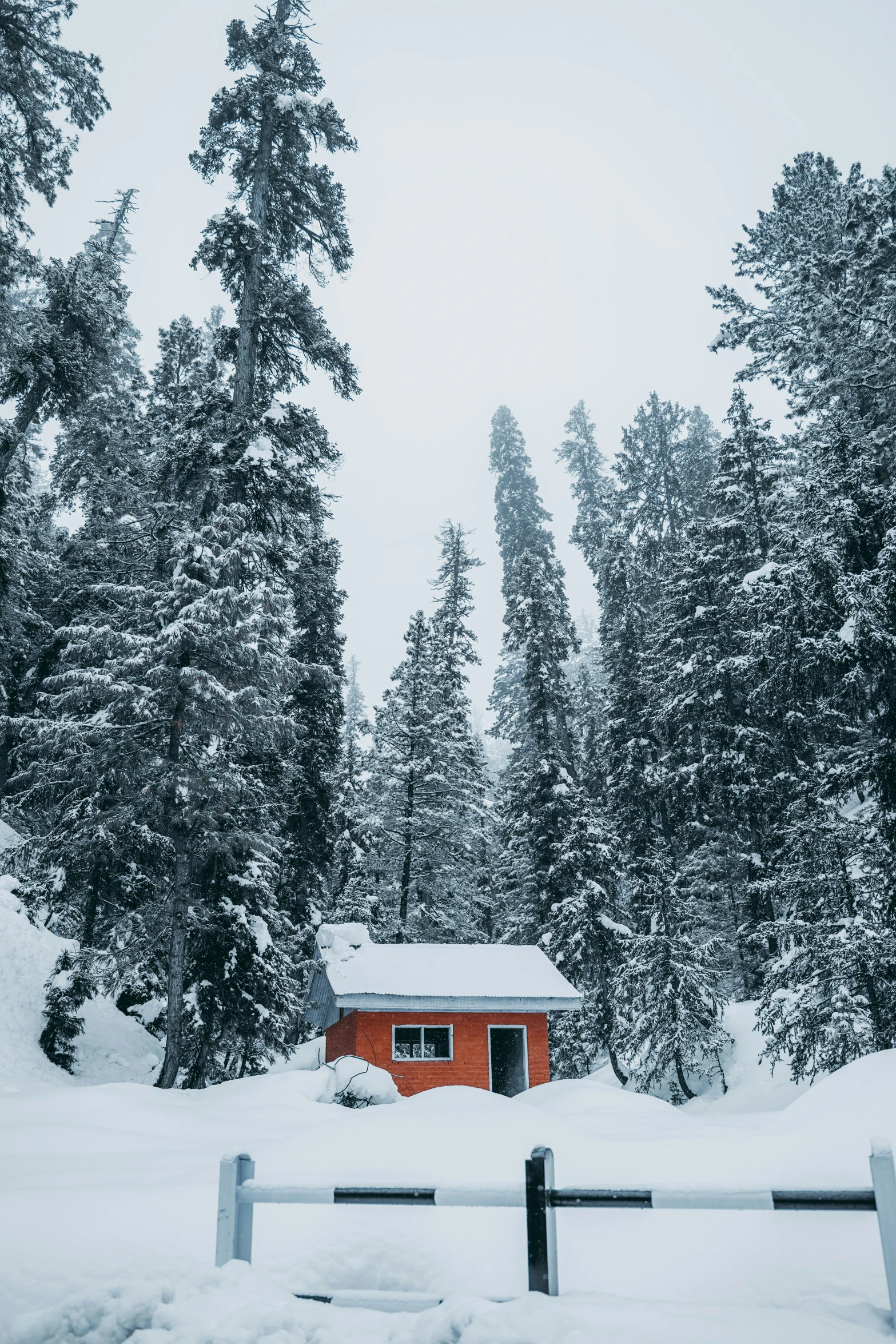 a small cabin in the middle of a snowy forest, by Jessie Algie, pexels contest winner, banff national park, profile image, swedish house, gray and orange colours