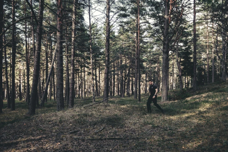 a person standing in the middle of a forest, a photo, winding around trees, cinematic outfit photo