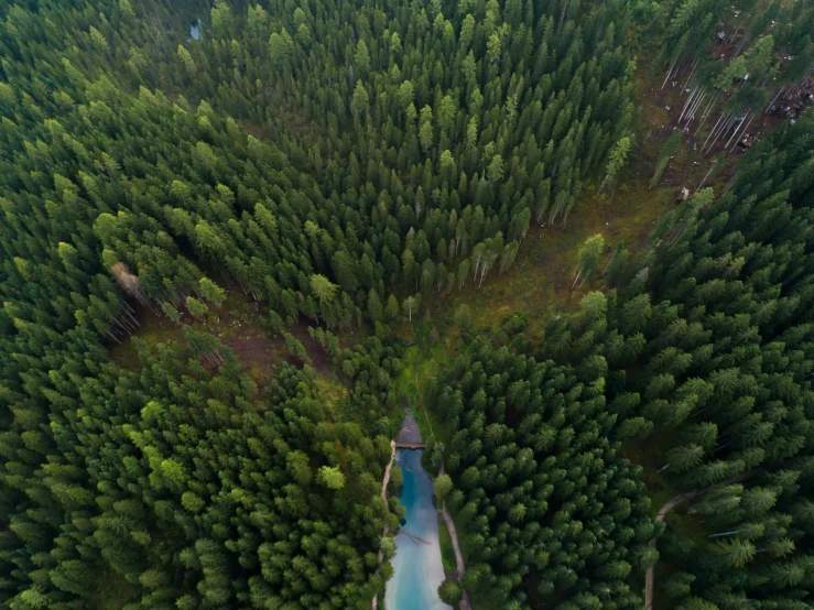 a river running through a lush green forest, an album cover, by Daren Bader, unsplash contest winner, hurufiyya, beautiful russia of the future, birds eye overhead perspective, build in a forest near of a lake, dolomites