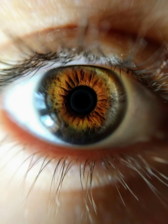 a close up of a person's eye, trending on unsplash, photographed for reuters, light brown eyes, eyes). full body, scientific photo