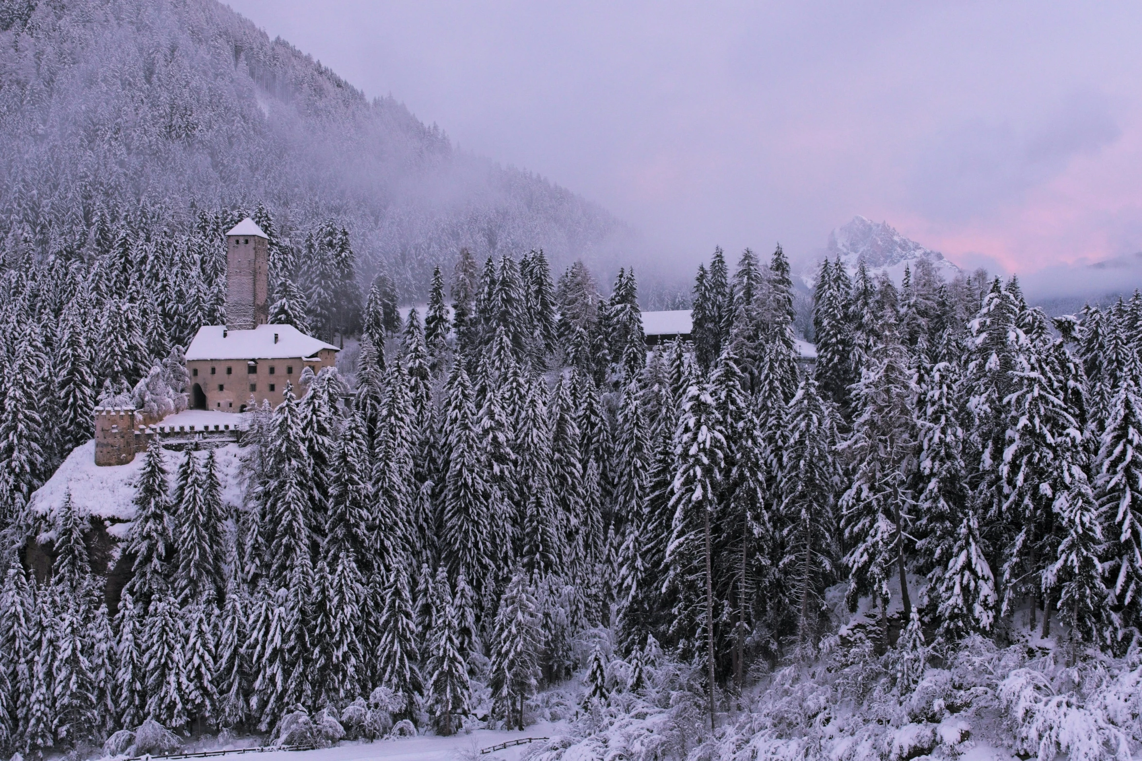 a castle in the middle of a snowy forest, pexels contest winner, renaissance, in the swiss alps, tall purple and pink trees, thumbnail, muted colors. ue 5