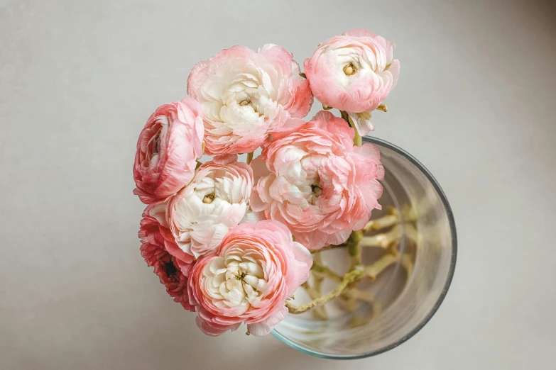 a vase filled with pink and white flowers, by Susy Pilgrim Waters, pexels contest winner, bubbly, flower buds, instagram post, various posed