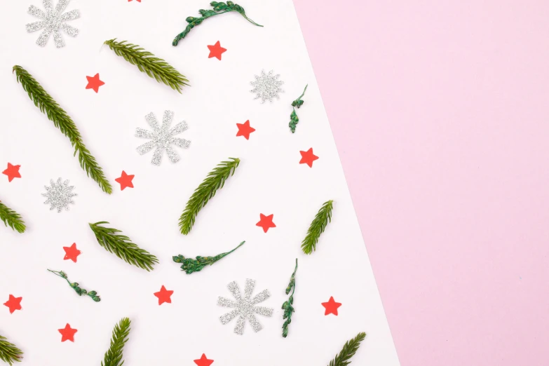 a sheet of paper with christmas decorations on it, by Julia Pishtar, pink grass, high quality paper, snowflakes, evergreen