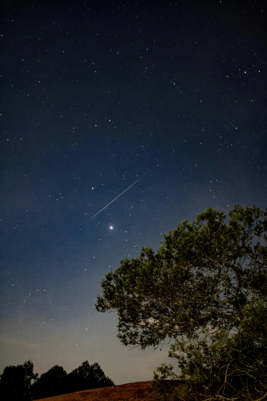 a night sky with stars and a tree in the foreground, trending on unsplash, space station planet afar, meteors, slide show, blue fireball