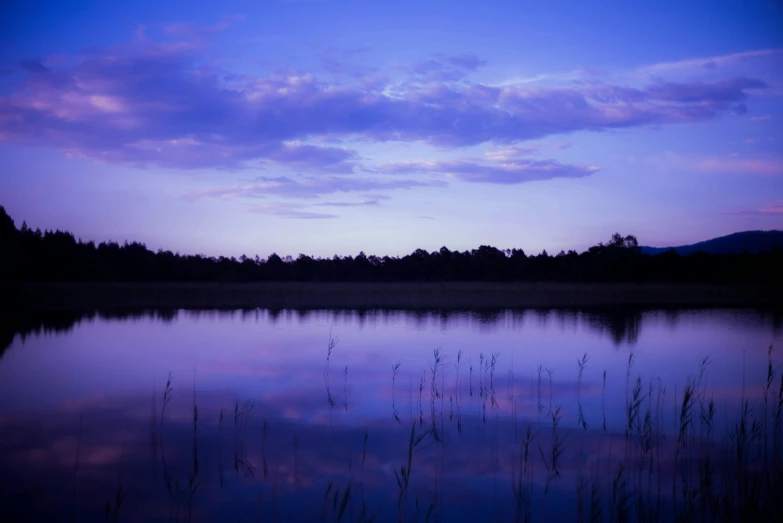 a large body of water next to a forest, a picture, by Jan Rustem, unsplash, hurufiyya, purple omnious sky, soft evening lighting, blue and purple, shot on sony a 7