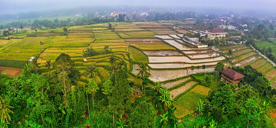 a view from the top of a hill of rice terraces, inspired by Erik Pevernagie, pexels contest winner, square, batik, panoramic widescreen view, grain”