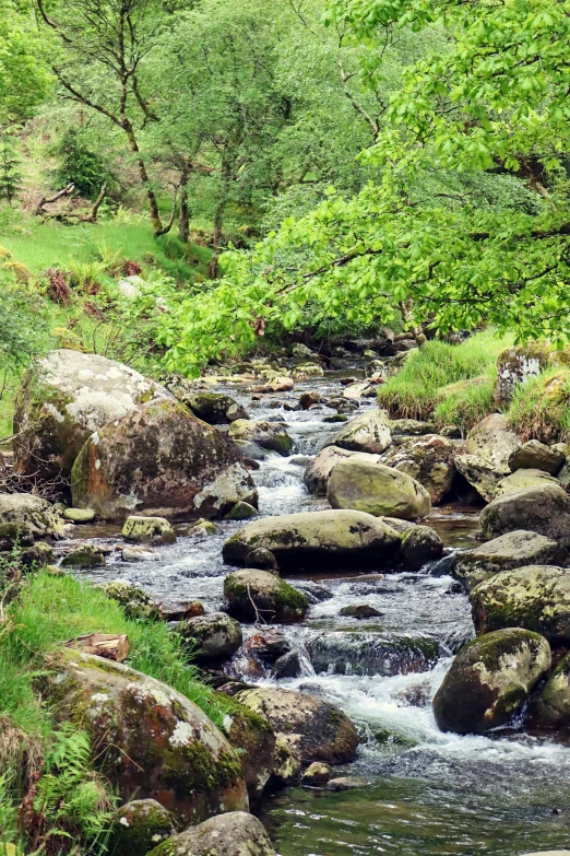 a stream running through a lush green forest, inspired by Bedwyr Williams, renaissance, moorland, concert, mountainous setting, slide show