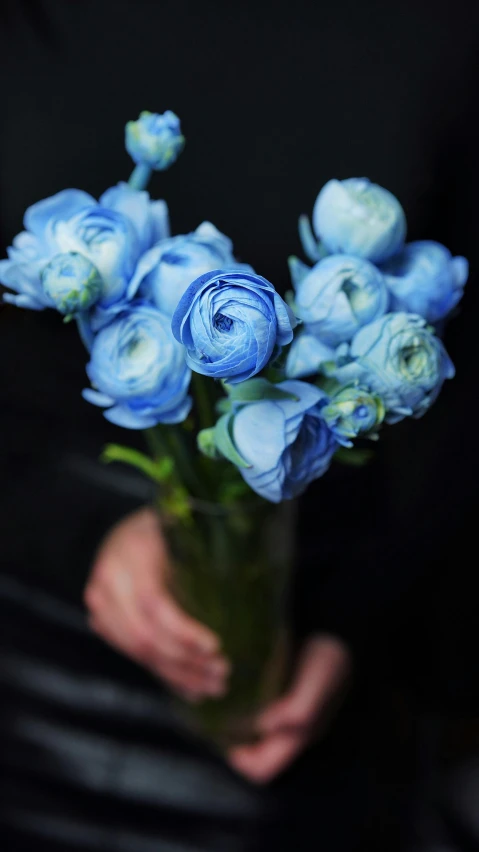 a person holding a vase filled with blue flowers, inspired by François Boquet, unsplash, detail shot, buds, blue velvet, bespoke