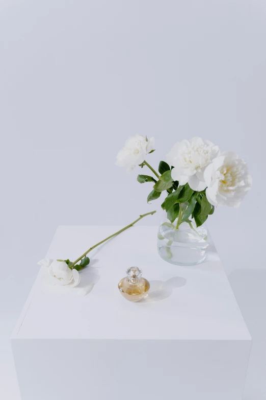 a vase filled with white flowers on top of a white table, a still life, unsplash, perfume bottle, on clear background, david kassan, peony