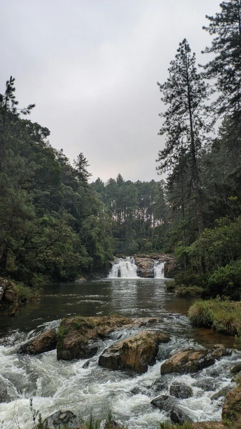 a river running through a lush green forest, hurufiyya, with trees and waterfalls, low quality photo, david rios ferreira, reverse