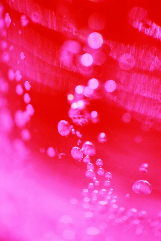 a close up of bubbles in a glass of water, a microscopic photo, inspired by Otto Piene, brightly lit pink room, red ink, low - angle shot, inside a cavernous stomach