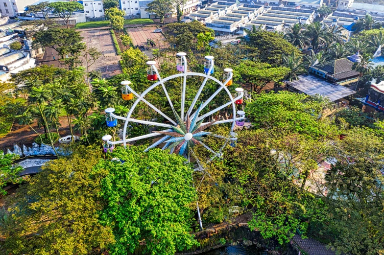 a ferris wheel sitting on top of a lush green field, colombo sri lanka cityscape, drone photograph, guwahati, outdoor fairgrounds