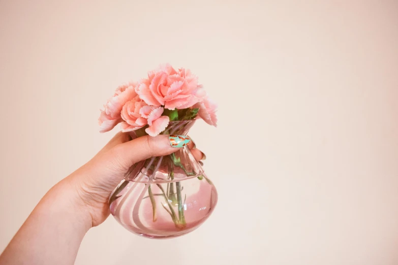 a person holding a vase with pink flowers in it, by Emma Andijewska, pexels contest winner, light pink background, background image, turquoise jewelry, transparent glass vase