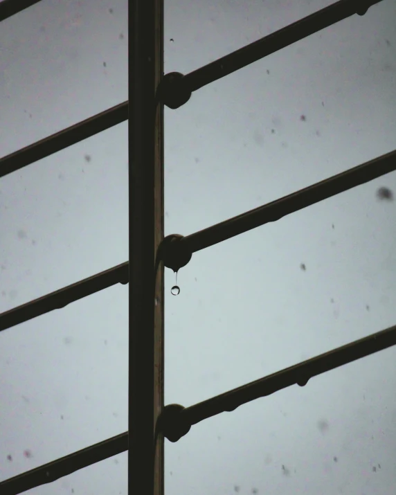 a bird sitting on top of a metal pole, an album cover, inspired by Elsa Bleda, unsplash, postminimalism, water drops, steel window mullions, low quality photo, ( ( railings ) )