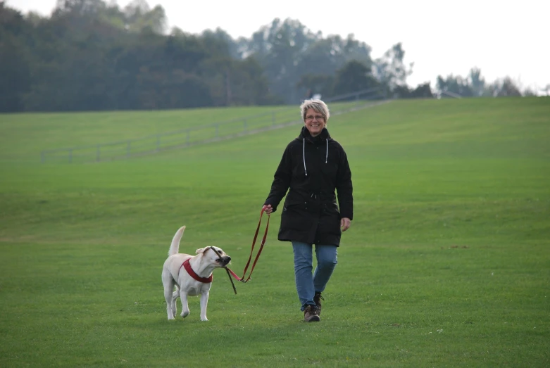 a woman walking a dog on a leash in a field, 15081959 21121991 01012000 4k, older woman, high quality photo, maintenance