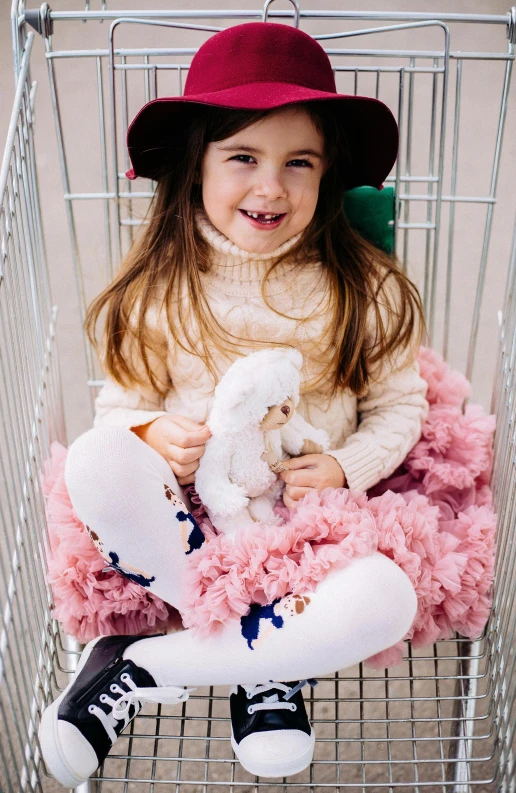 a little girl sitting in a shopping cart with a stuffed animal, pexels, process art, frilly outfit, happy fashion model, flat lay, fluffy''