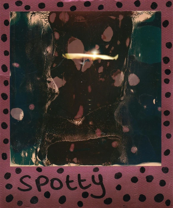 a picture of a dog in a polka dot frame, a polaroid photo, inspired by Sigmar Polke, unsplash, graffiti, lit with candles, ripley scott, sophie cover album, pat steir