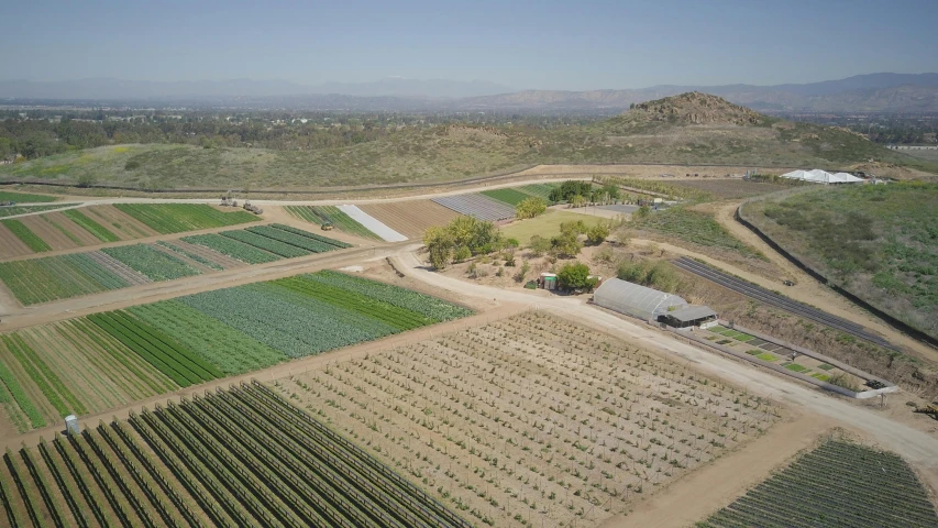 an aerial view of a field of crops, by Arnie Swekel, hillside desert pavilion, julia fuentes, skies behind, promo image