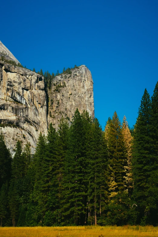 a horse grazing in a field in front of a mountain, yosemite valley, built into trees and stone, slide show, fall