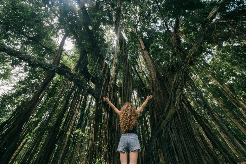 a woman standing in the middle of a forest, inspired by Ren Hang, unsplash contest winner, huge ficus macrophylla, akaka falls, view from bottom to top, wanderlust