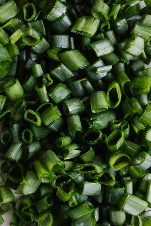 chopped green onions on a cutting board, inspired by Li Di, unsplash, renaissance, full frame image, 1 6 x 1 6, low detail, seaweed