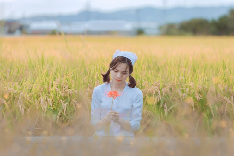 a woman in a field holding a flower, by Sengai, unsplash, aestheticism, nurse girl, avatar image, rice, cosplay photo