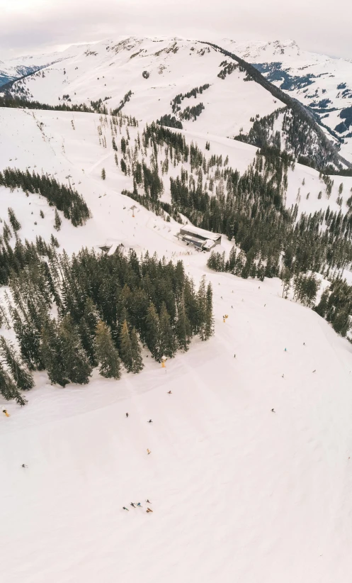 a man riding a snowboard down the side of a snow covered slope, a tilt shift photo, by Tobias Stimmer, pexels contest winner, view from above from plane, full trees, 1970s photo, analog photo