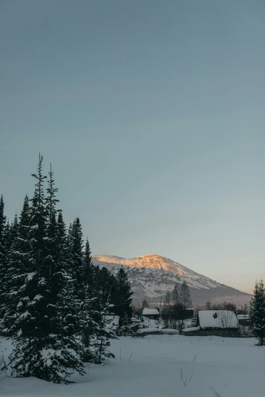 a snow covered field with trees and a mountain in the background, soft golden hour lighting, roofed forest, jovana rikalo, viewed from a distance