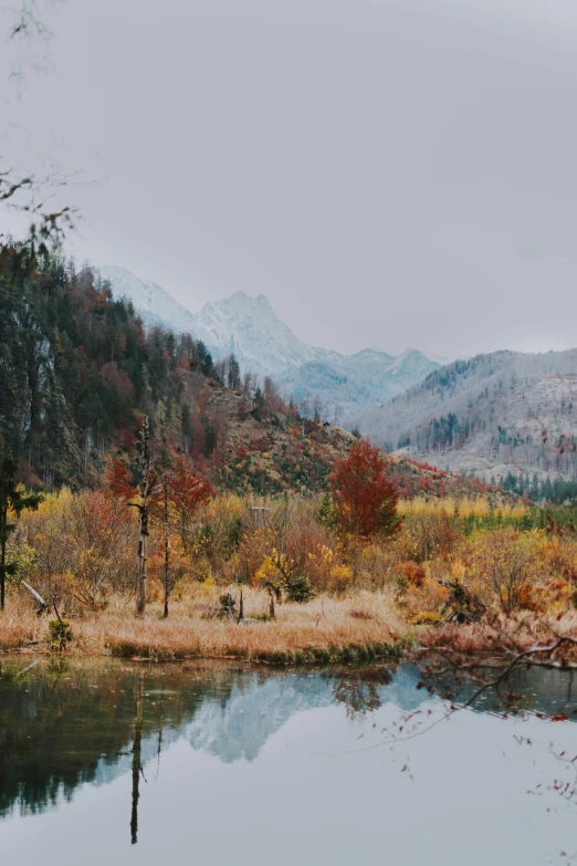 a body of water surrounded by trees and mountains, by Xu Xi, unsplash contest winner, visual art, muted fall colors, swamp landscape, 4 k cinematic still, multiple stories