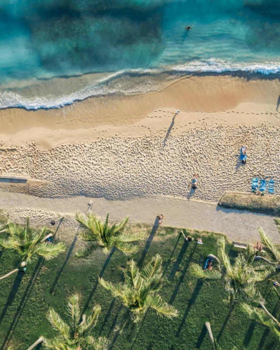 an aerial view of a beach with palm trees, by Robbie Trevino, pexels contest winner, renaissance, people resting on the grass, thumbnail, puerto rico, sunny morning light
