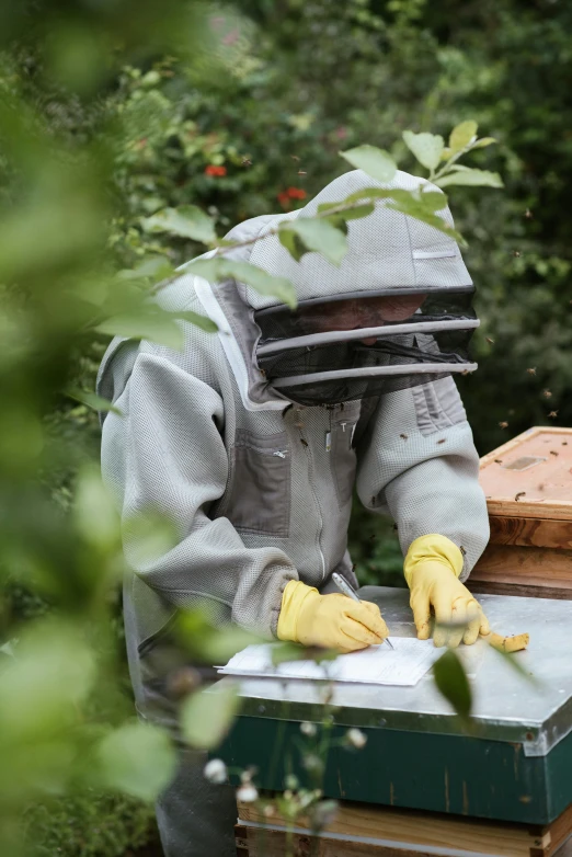 a man in a bee suit working on a beehive, pexels, arbeitsrat für kunst, wearing a grey robe, in the garden, profile image, uncrop