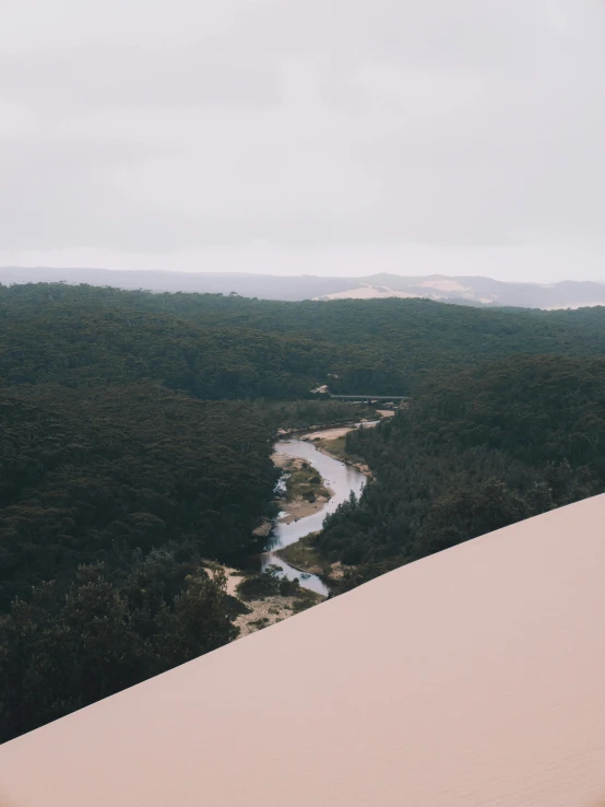 a person standing on top of a sand dune, unsplash contest winner, australian tonalism, with a river running through it, overlooking a vast serene forest, bird\'s eye view, slightly tanned