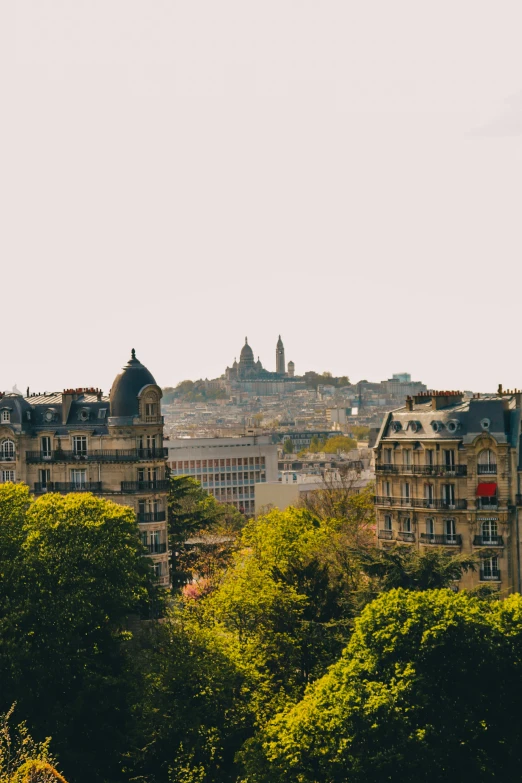 a view of a city from the top of a hill, trending on unsplash, paris school, slide show, overgrown city, conde nast traveler photo