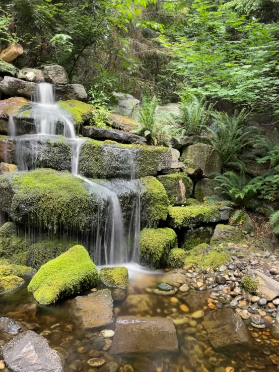 a small waterfall running through a lush green forest, water fountain, large rocks with thick moss, 2019 trending photo, photo on iphone