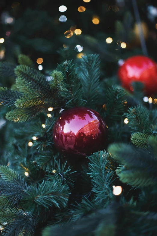 a close up of a christmas tree with ornaments, a digital rendering, pexels, al fresco, red light bulbs, evergreen, detail shot