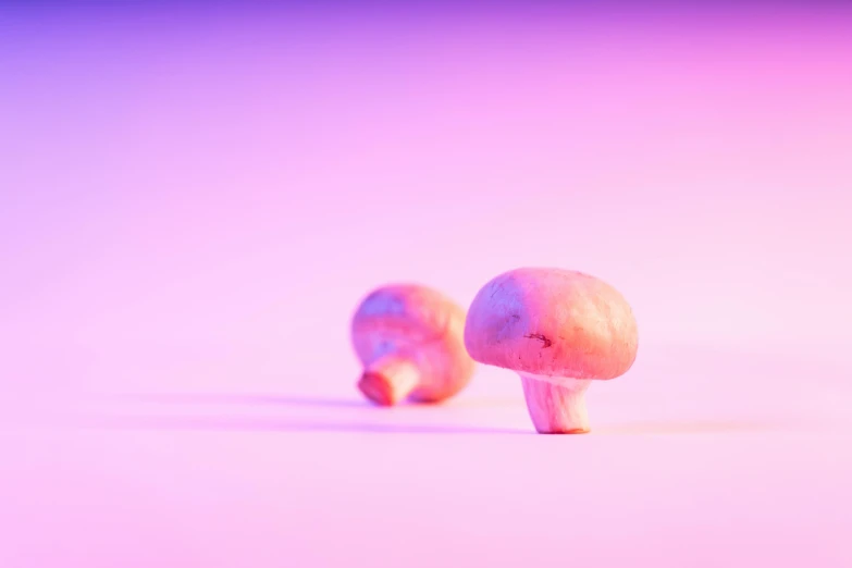 a couple of mushrooms sitting on top of a table, a macro photograph, inspired by Elsa Bleda, unsplash, pink and purple, claymation style, gradients and soft light, miscellaneous objects