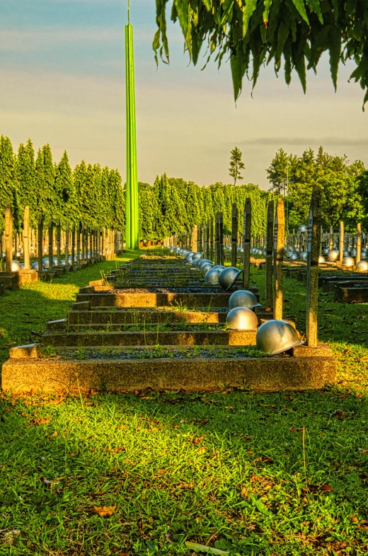 a cemetery with a clock tower in the background, by Alexander Fedosav, land art, rows of lush crops, hdr, indonesia, lamp posts