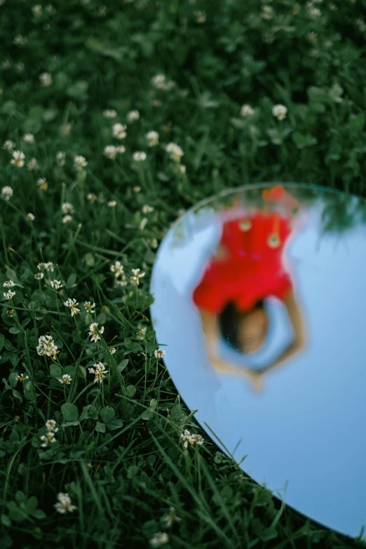 a mirror sitting on top of a lush green field, inspired by Scarlett Hooft Graafland, unsplash, magic realism, girl in flowers, red and blue reflections, high angle close up shot, taken in the late 2000s